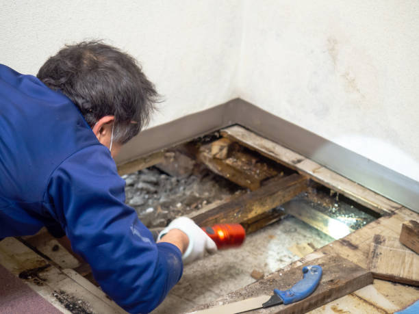 Best Office Mold Removal Services  in Bend, OR