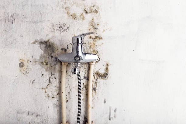  Bend, OR Mold Removal Pros