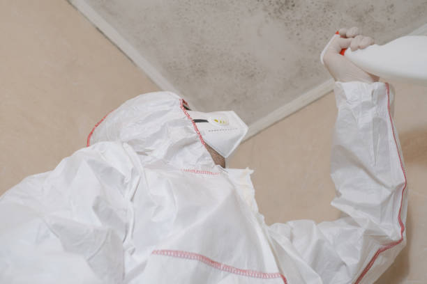 Best Home Mold Removal  in Bend, OR